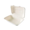 HB10 Biodegradable Takeaway Box (9x6 inch), 500 Pieces